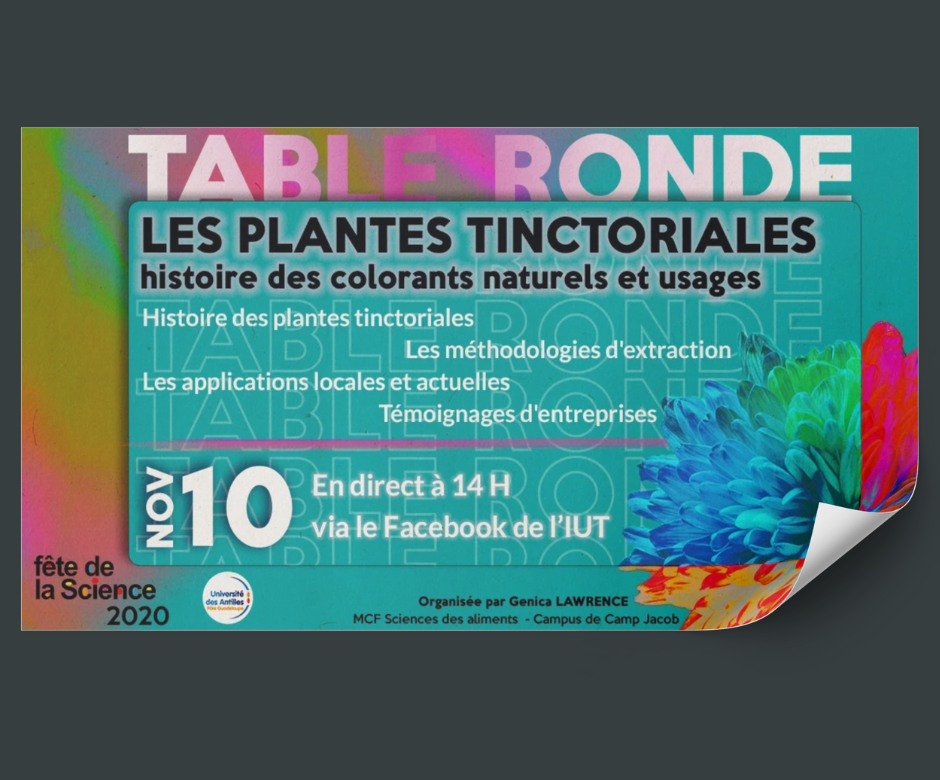 Affiches Fête de la Sciences 2021